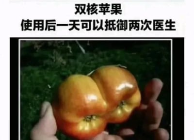 图片上方为黑色文字“双核苹果 使用后一天可以抵御两次医生”，下方是一张实拍照片：一只手握着两个自然融合在一起的苹果，外形酷似“双核”处理器。该梗图通过谐音和联想制造幽默效果——基于俗语“一天一苹果，医生远离我”，将融合的苹果戏称为“双核”，暗示使用后能“双倍”抵御医生，带来搞笑的健康调侃。