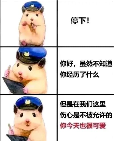这是一组以可爱仓鼠为主角的三格漫画梗图。仓鼠戴着警察帽，手拿停车小旗子，分别说出“停下！你好，虽然不知道你经历了什么，但是在我们这里伤心是不被允许的，你今天也很可爱”。图片以萌化的警察执法情节反差地安慰观众，非常治愈。没有双关或谐音梗，突出心理健康和关怀话题。