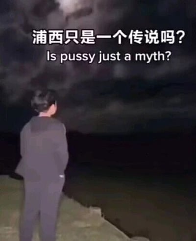 这是一张文字加注的静态真人照片，画面呈现的是一位身着深色套装的男子背对镜头，站在夜色笼罩的户外，背景是阴沉的夜空与深色水面，男子的姿态看起来带着惆怅感，似乎在眺望远方。图中上方叠加了中英文文字，中文为“浦西只是一个传说吗？”，英文对应“Is pussy just a myth?”，这里运用了谐音梗，用中文“浦西”谐音英文单词“pussy”，制造出带有调侃和自嘲意味的效果，通常用来调侃单身男性难以接触到异性的处境，是一种网络上流行的搞笑自嘲表达。针对图中的问题，这是一个玩梗式的提问，“浦西”是对英文“pussy”的谐音用法，现实中它当然不是传说，这个提问更多是单身男性用来自嘲自己难以接触到异性的调侃式表达。