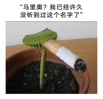 这是一张创意搞笑的照片改图，画面中盆栽里的捕蝇草用捕虫夹夹着一支抽过的香烟，姿态模仿成沧桑老者抽烟的样子，图片上方配文“马里奥？我已经许久没听到过这个名字了”。创作者将捕蝇草拟人化，代入任天堂《超级马里奥》系列游戏里的食人花角色——该角色原本是游戏中阻碍马里奥前进的经典敌人，如今以这种“退休”般的慵懒沧桑姿态出现，用反差感制造出搞笑效果，调侃这个老对手脱离与马里奥的敌对关系后的状态，充满玩梗趣味。