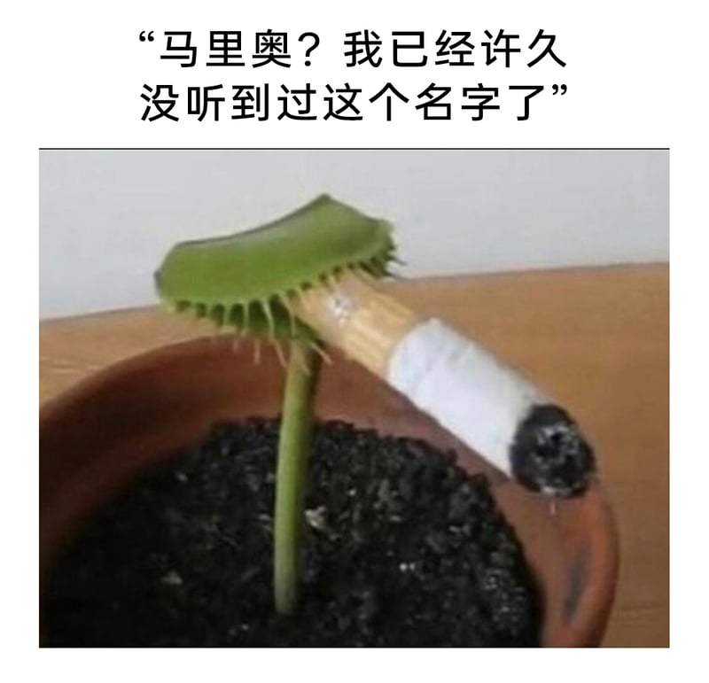 超级马里奥系列游戏