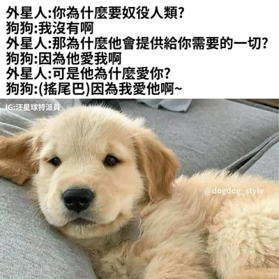 这是一张治愈系的宠物图文内容，上方设置了外星人和狗狗的趣味对话：外星人以带有误解的视角提问狗狗“奴役”人类，狗狗则用纯粹的双向爱意回应，点明了宠物与主人之间互相爱着、彼此陪伴的温暖关系；下方搭配一只趴在灰色沙发上的金毛幼犬，它毛发蓬松柔软，眼神温顺慵懒，模样软萌治愈，与对话内容完美契合，传递出宠物和主人之间纯粹又暖心的情感羁绊。