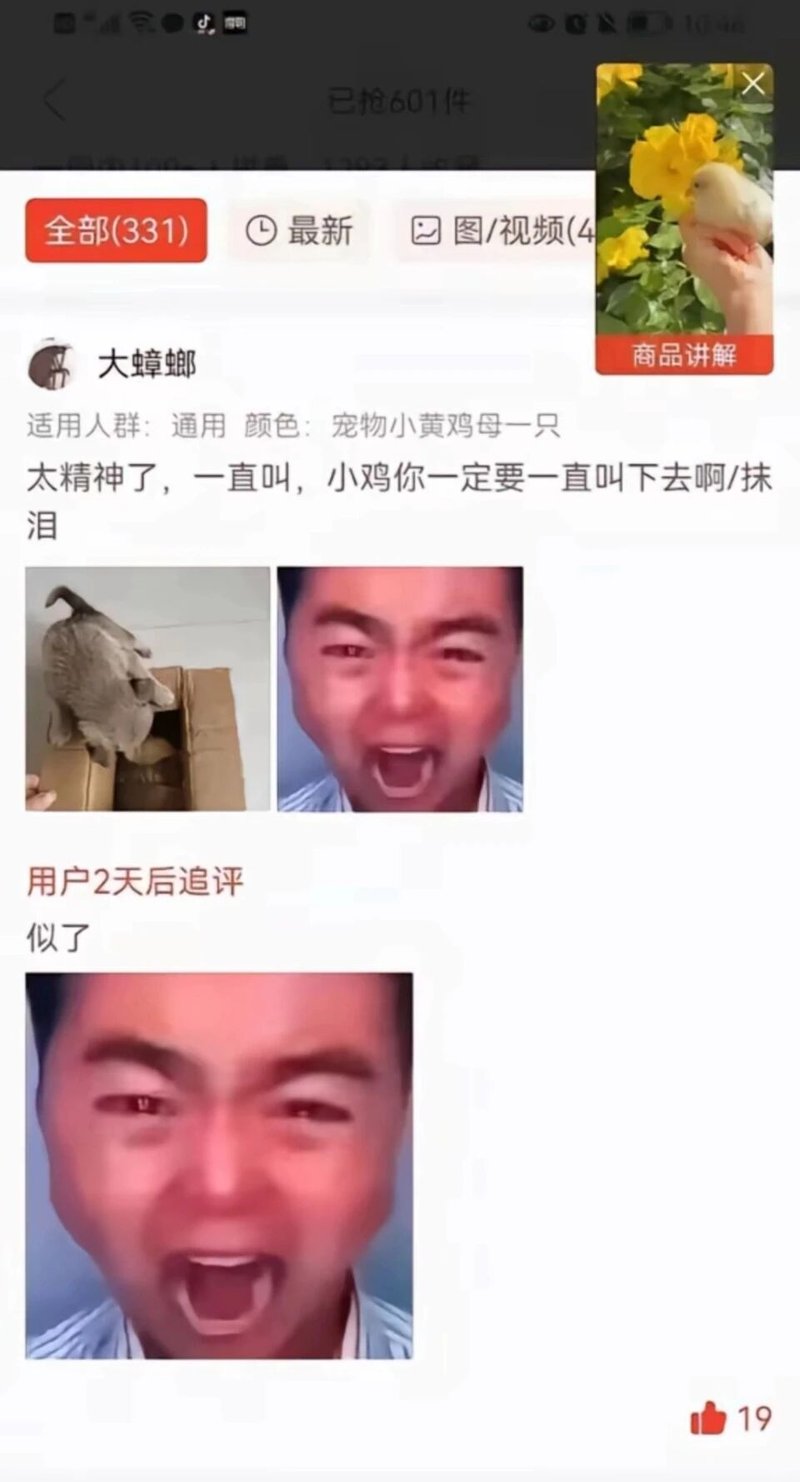 网络抽象表情包