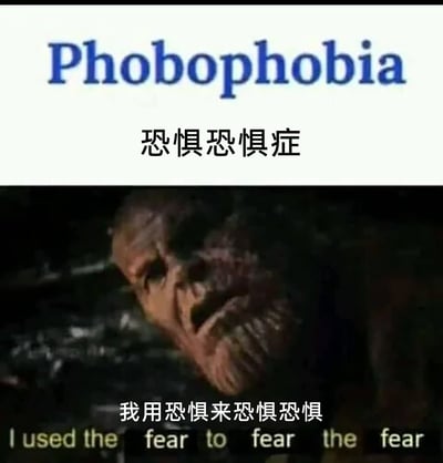 这是一张影视梗二次创作的图文混排梗图，上方是英文“Phobophobia”及对应的中文“恐惧恐惧症”，下方是出自电影《闪灵》的惊恐人物画面，搭配玩梗文字“我用恐惧来恐惧恐惧”，以荒诞的悖论逻辑调侃“恐惧恐惧症”这个概念，表现陷入恐惧循环的滑稽状态，属于网络流行的自嘲类玩梗内容。