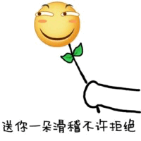 送你一朵滑稽不许拒绝