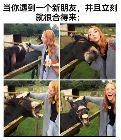 这是一张四格拼接图，展示了当你遇到一个新朋友并立刻合得来的场景。图中一位红发女子与一头驴从初次接触到亲密互动的过程，生动地表现了人与人之间迅速建立友谊的美好瞬间。第一张图女子轻轻抚摸驴的头，第二张图女子与驴亲密贴脸，第三张图女子笑着抚摸驴，驴则仰头享受，第四张图女子开怀大笑，驴也张着嘴仿佛在笑，画面充满温馨与欢乐。