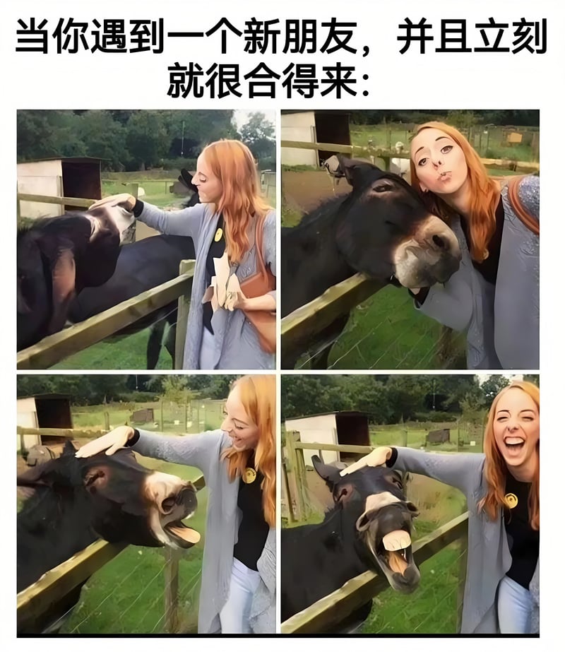 驴