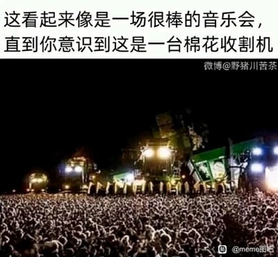 这是一张利用视觉错位制造趣味效果的实拍图：夜晚的环境下，前景大片的棉花在暗光中看起来如同聚集的人群，后方排列的多台亮着强光灯的棉花收割机，灯光和设备形态类似音乐会的舞台与灯光装置，让初次观看的人容易误以为是一场热闹的音乐会现场。图片顶部的文字点明了这个错觉，写道“这看起来像是一场很棒的音乐会，直到你意识到这是一台棉花收割机”，将农业作业场景包装成充满趣味的视觉梗。
