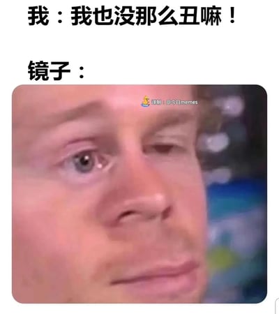 这是一张充满自嘲意味的搞笑梗图，通过上下对应的文字与画面制造反差笑点。上方文字“我：我也没那么丑嘛！”表现出人们自我安慰式的颜值认知，而“镜子：”之后的画面是一张五官扭曲的真人脸，一只眼睛睁大、一只眼睛眯起，神态怪异，用这种夸张的视觉效果来代表镜子所“反馈”的“真实颜值”，精准调侃了人们在照镜子时，自我认知与现实观感之间的落差，戳中了大众偶尔会有的颜值焦虑与自我怀疑的情绪，用幽默的方式消解这种小烦恼。
