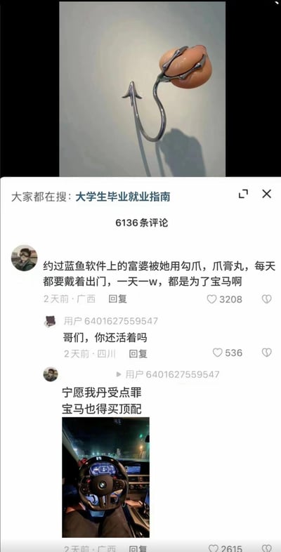 这是一张由猎奇艺术装置图与社交平台评论区截图拼接而成的梗图。上方是造型冲击感极强的艺术装置：金属鱼钩勾住一个仿真睾丸造型的物体。下方是社交平台的评论区，第一条评论编造了“为了日赚一万买宝马，被蓝鱼软件上的富婆用勾爪套住睾丸，每天戴着出门”的荒诞段子，随后有网友回复“哥们，你还活着吗”，原评论主又晒出宝马车内的照片，配文玩谐音梗“宁愿我丹（蛋）受点罪，宝马也得买顶配”，用谐音和猎奇的艺术装置呼应，制造出荒诞搞笑的反差效果，调侃年轻人为了豪车不惜“付出代价”的夸张心态。