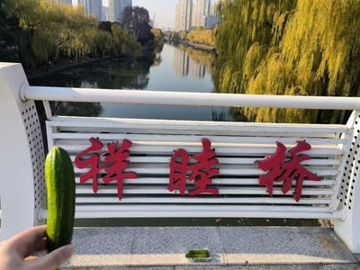 这是一张在祥睦桥上拍摄的趣味视觉错位照片：一只手拿着一根小黄瓜，利用拍摄角度制造出黄瓜和桥名“祥睦桥”的“祥”字重合的错觉，仿佛桥名变成了“（黄瓜）祥睦桥”，带来搞笑的视觉效果。桥下是平静的城市河道，两岸的垂柳叶子泛黄，远处可见林立的城市高楼，桥面上还放着两根小黄瓜，整体场景是秋日城市河畔的桥梁，氛围轻松有趣。