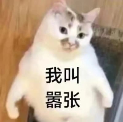 一只白色带有灰色斑点的猫咪直立站立，前爪微微抬起，眼神直视前方，表情显得有些得意和自信。猫咪的身体上覆盖着黑色文字“我叫嚣张”，整体画面幽默有趣，通过猫咪拟人化的姿态和直白的文字结合，营造出一种“嚣张”又可爱的反差萌效果。