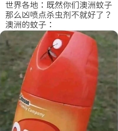 图片上方配有文字“世界各地：既然你们澳洲蚊子那么凶喷点杀虫剂不就好了？澳洲的蚊子：”，下方是一张特写照片，展示了一只蚊子停留在红色杀虫剂喷雾罐的喷嘴内部，仿佛将杀虫剂罐当作了自己的栖息地。通过这种夸张的对比，幽默地调侃了澳洲蚊子的“强悍”，暗示普通杀虫剂对它们可能无效甚至反被“占领”。