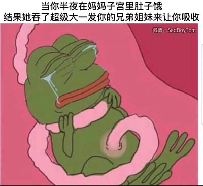 这是一张以悲伤青蛙Pepe为主体的搞笑梗图，画面里Pepe蜷缩在粉色的类似子宫的空间中，脸上挂着眼泪，表情痛苦又委屈，旁边还露出一只疑似被吸收的肢体。配文用荒诞的黑色幽默脑洞，将胚胎发育中可能出现的吸收兄弟姐妹的现象，调侃成妈妈在自己半夜饿肚子时，投喂“超级大一发兄弟姐妹”让自己吸收，用夸张的设定制造出既搞笑又带着无奈悲伤的反差感。