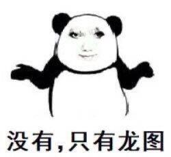 这是一张经过P图改编的合成表情包，将熊猫头的脸部替换为真人的脸，熊猫双臂向两侧摊开，呈现出无奈的姿态，图片下方配有文字“没有，只有龙图”。该表情包常用于中文网络社区的聊天互动中，以戏谑搞笑的方式回应他人，表示不存在其他相关内容，只有和“龙图”相关的内容，带有玩梗的趣味属性。
