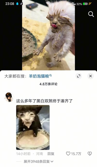 这张图是国内社交平台的内容截图，上半部分展示了一只白色幼猫，它的脸部、爪子和毛发沾满了棕色的食物残渣，闭着眼睛吐出舌头，旁边摆放着盛有糊状食物的碗，页面顶部显示手机状态栏信息，下方附带搜索提示“大家都在搜：羊奶泡猫粮”，同时标注该内容共有4.8万条评论；下半部分是获赞15.7万的高赞评论，评论内容为“这么多年了黑白双煞终于凑齐了”，评论附带的配图是一只黑色幼猫，脸部沾满浅色食物残渣，前爪搭在盛有浅色食物的碗边，造型与上方的白猫对应，该评论发布于14小时前，发布地为河南，另有3948条可展开的回复。