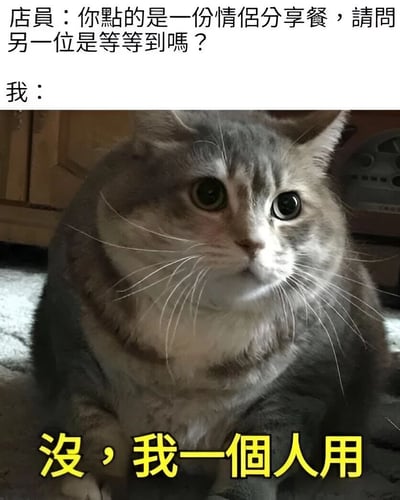 这是一张幽默梗图，上方是店员的提问："你点的是一份情侣分享餐，请问另一位是等等到吗？"，中间是一只表情略显困惑的灰白猫咪照片，下方用黄色文字写着"没，我一个人用"。图片通过猫咪的表情和文字内容，幽默地表现了单身人士独自点情侣餐的尴尬又好笑的场景。