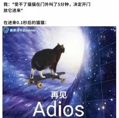 这是一张吐槽猫咪任性行为的梗图，上方文字描述主人受不了猫咪在门外叫了5分钟，开门放它进来，结果猫咪在进门0.1秒后就立刻跑路；下方配图是一只黑白奶牛猫踩着滑板，在类似宇宙隧道的背景中向前冲，配文“再见 Adios”。图中通过强烈的反差感，调侃猫咪那种“只是想让你开门，并非真的要进来”的傲娇、反复无常的行为，精准戳中养猫人的日常共鸣，十分搞笑。