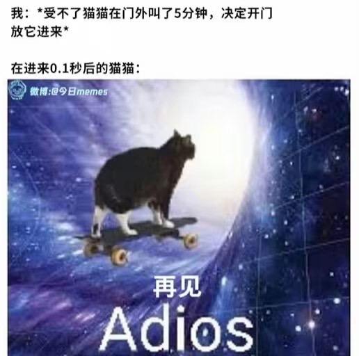 黑白奶牛