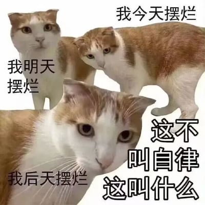 图片由多张橘白相间猫咪的照片拼合而成，背景为纯白色。猫咪们姿态各异，有的直视镜头，有的低头斜视，表情呆萌。图片上覆盖黑色文字：右上角写“我今天摆烂”，左上角为“我明天摆烂”，下方左侧是“我后天摆烂”，右下角则以加粗字体写着“这不叫自律 这叫什么”。通过猫咪连续三天“摆烂”的宣言与“自律”的反问形成强烈反差，用幽默方式调侃持续放松的状态，引发共鸣。