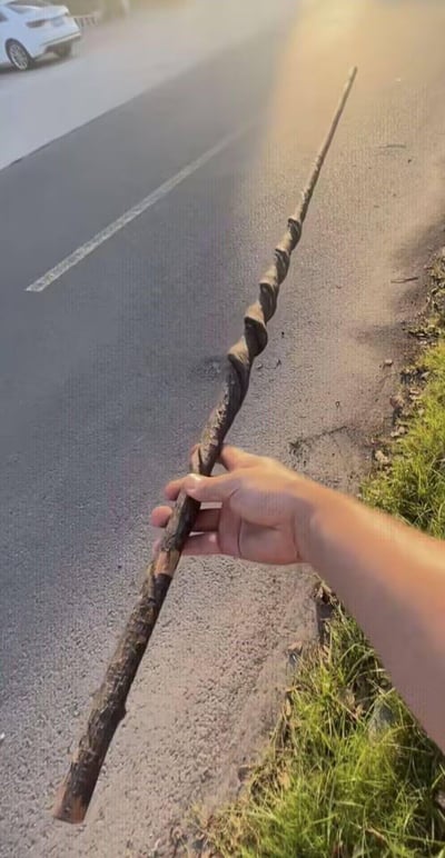 在户外的道路边，一只手握着一根表面扭曲的深色树枝，拍摄者利用近大远小的视觉错位原理，让这根普通树枝看起来像是一直延伸到道路的远处，仿佛是一根充满奇幻感的超长魔法杖，营造出有趣的视觉错觉效果，图中没有双关、谐音梗或暗示内容。