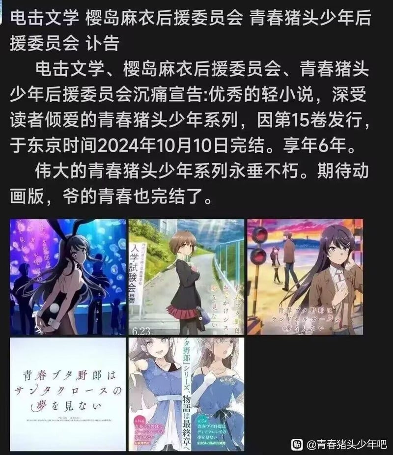 樱岛麻衣