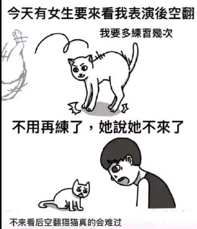 这是一张上下两格的连环卡通图。上格中一只白猫弓着身子，眼神坚定，旁边配文“今天有女生要來看我表演後空翻 我要多練習幾次”，展现出为吸引女生注意而积极准备的状态；下格中一个短发男孩垂头丧气，旁边蹲着同样表情失落的白猫，配文“不用再練了，她說她不來了 不來看後空翻貓貓真的會難過”，形成从期待到失望的情绪反转。通过拟人化的猫猫和男孩反应，幽默演绎了因约会取消导致的失落感，画面简洁生动，充满生活化的无奈与搞笑。