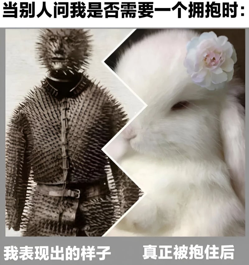 兔子