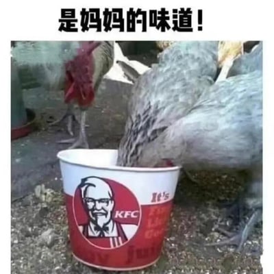 图中一只家鸡将头伸进肯德基全家桶内，似乎在啄食桶内残留的东西，旁边还有另一只家鸡在一旁观望。图片顶部配有文字“是妈妈的味道！”。
这是一个充满黑色幽默的恶搞梗图，利用肯德基的核心产品是鸡肉这一点，让鸡与装过同类肉的桶互动，搭配“是妈妈的味道”的配文，制造出荒诞又讽刺的反差感，通过这种离谱的设定戳中笑点，调侃肯德基的鸡肉产品。