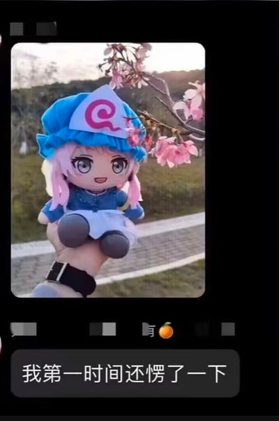 这是一张社交聊天界面的截图，上方是用户拍摄的户外场景：一只手托举着东方Project的西行寺幽幽子毛绒玩偶，背景是开着粉色花的树枝和步道；下方聊天栏里有一个橘子表情，配文“我第一时间还愣了一下”。
笑点来自视觉错觉：玩偶帽子上的螺旋图案和橘子外形有相似感，让分享者第一眼误认，反应过来后觉得有趣才分享这个小趣事。