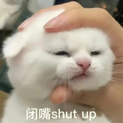 一只白色猫咪被人用手按住头部，表情看起来十分不爽，眼睛半眯，嘴巴微抿。图片底部有“闭嘴shut up”的文字，结合猫咪的表情，形成了一个表达不耐烦、想要对方停止说话的表情包。