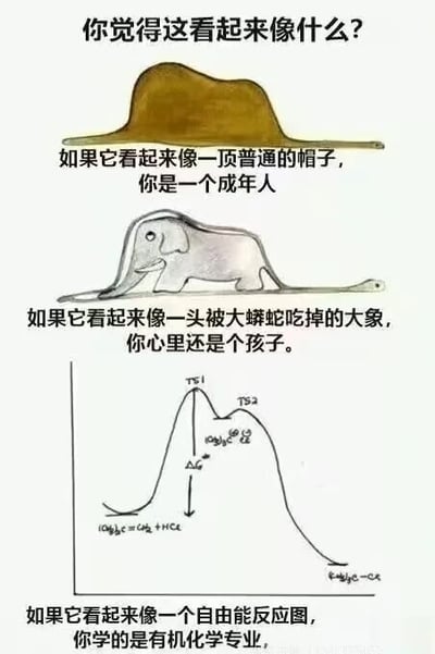 这是一张通过幽默对比不同人群视角的图文混排梗图。顶部以提问“你觉得这看起来像什么?”引发思考，随后分三部分展示不同解读：第一部分是一个棕色不规则形状，配文“如果它看起来像一顶普通的帽子，你是一个成年人”；第二部分是简笔画风格的大象被大蟒蛇吞食的场景，配文“如果它看起来像一头被大蟒蛇吃掉的大象，你心里还是个孩子”；第三部分是有机化学中的自由能反应曲线图（包含TS1、TS2过渡态和能量变化公式），配文“如果它看起来像一个自由反应图，你学的是有机化学专业”。通过夸张化不同群体的思维定式制造笑点，展现成年人的务实、孩子的想象力与化学专业学生的学科本能。