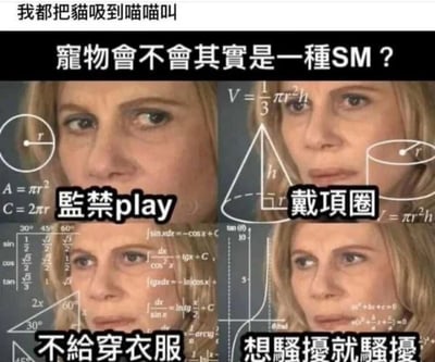 这是一张四格拼接的搞笑梗图，以数学公式为背景，每张图片中都有一位表情严肃的金发女性面孔。图片顶部有文字"我都把猫吸到喵喵叫"，主标题提出争议性问题"寵物會不會其實是一種SM？"(宠物会不会其实是一种SM？)。四个格子分别标注了"監禁play"(监禁play)、"戴項圈"(戴项圈)、"不給穿衣服"(不给穿衣服)和"想騷擾就騷擾"(想骚扰就骚扰)，用SM文化中的概念来幽默地类比人类对待宠物的常见行为。