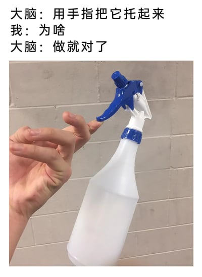 这是一张图文混排的趣味梗图，上方以对话形式模拟大脑与自身的内心互动：大脑发出指令“用手指把它托起来”，“我”疑惑询问“为啥”，大脑只要求“做就对了”。下方实拍图展示了一只手按照指令，用食指托住清洁喷壶的蓝色按压柄，其余手指做出弯曲的怪异姿势，背景是灰色砖墙。该图通过这种无意义的迷惑操作，调侃了人们日常生活中有时会毫无缘由地听从脑海里的奇怪指令，做出没必要的荒诞动作，充满了轻松搞笑的氛围。