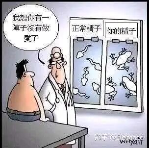 这是一幅卡通风格的搞笑漫画，采用左右对比的构图呈现男科诊室场景。画面左侧是一位光着上半身的男性患者坐在检查台上，背对着镜头；右侧是穿着白大褂的医生，扶着眼镜，指向身后的两块展示板。展示板左侧标注“正常精子”，上面的精子是标准的流线型形态；右侧标注“你的精子”，上面的精子被画成了慵懒的青蛙形态。医生的对白气泡里写着“我想你有一阵子没有做爱了”，用夸张的比喻调侃患者的精子因为长期没有活动，失去了原本的活力，以此制造荒诞的幽默效果。