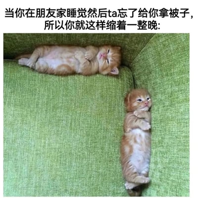 图片上方配有文字“当你在朋友家睡觉然后ta忘了给你拿被子，所以你就这样缩着一整晚:”，下方是两只橘猫在绿色沙发上的场景。一只橘猫蜷缩在沙发角落侧卧睡觉，另一只则抱臂蜷缩着仰卧，生动形象地用猫咪的可爱蜷缩姿势，幽默展现了人在没有被子时冷得缩成一团的无奈又好笑的状态。