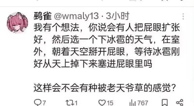 一张社交媒体截图，显示用户"鸴雀 @wmaly13"发布的一条幽默内容，提出了一个关于在冰雹天气将肛门扩张等待冰雹进入的荒诞想法，并询问是否会有被老天爷"草"的感觉。配图包含一个粉色头发的动漫风格头像。