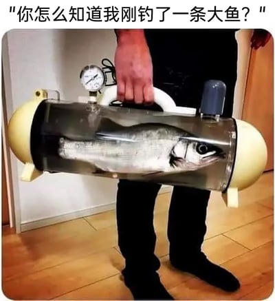 这张静态合成图中，一名穿着黑色裤子的人手持一个带有压力表的圆柱形容器，容器为半透明金属材质，两端是米黄色密封结构，容器内部装着一条体型较大的鱼。图片上方配有文字“你怎么知道我刚钓了一条大鱼？”，用这种将鱼装在类似工业压力容器里的夸张、荒诞的方式，来调侃钓到大鱼后的特殊“保存与展示”，打破了人们对钓鱼后处理渔获的常规认知，充满恶搞趣味，制造出反差笑点。