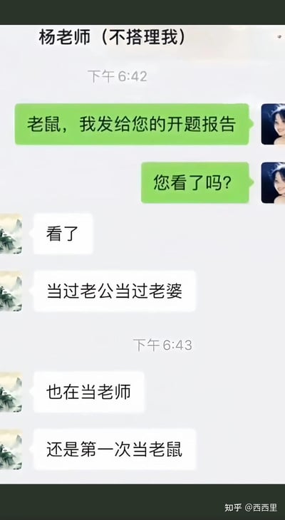 这是一段学生与导师杨老师的微信聊天记录，学生在询问导师是否查看开题报告时，误将“老师”打成了“老鼠”。导师则用幽默的方式回应，调侃自己当过老公、老婆，也在当老师，却是第一次当“老鼠”，用反差感拉满的回复制造了搞笑效果，展现了师生之间轻松的相处氛围。