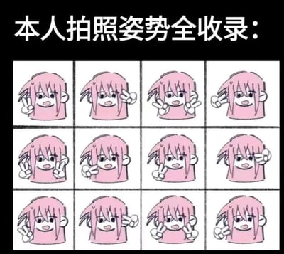 图片上方为黑色背景白色文字“本人拍照姿势全收录：”，下方是 3 行 4 列的网格布局，共 12 个相同的粉色头发卡通人物头像。每个卡通人物都面带微笑，双手在脸部附近比出不同角度和姿势的剪刀手，展现出看似多样实则相似的拍照姿势，整体风格轻松幽默，带有自嘲意味，调侃拍照姿势单一的日常场景。