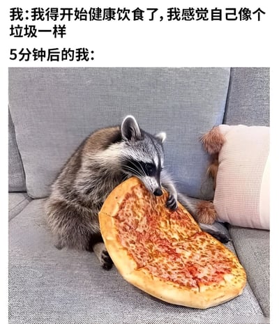 图片上方配有文字“我:我得开始健康饮食了,我感觉自己像个垃圾一样”和“5分钟后的我:”，下方是一只浣熊坐在灰色沙发上，抱着一整个披萨正在啃食的照片。通过前后对比幽默地展现了人们立志健康饮食却迅速被美食诱惑、无法坚持的真实场景，充满自嘲和生活气息。