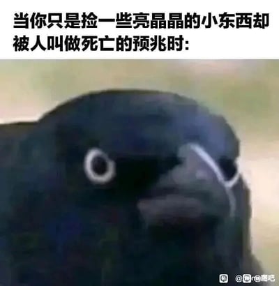 这是一张文字加注的P图改编静态单图，上方配有白色黑体文字：“当你只是捡一些亮晶晶的小东西却被人叫做死亡的预兆时:”，下方是一只黑色乌鸦的特写。乌鸦的眼部被添加了类似泪痕的白色线条，眼神呈现出委屈、无奈的神态，被赋予了拟人化的情绪。该图利用了大众对乌鸦“不祥之鸟、死亡预兆”的刻板印象，结合乌鸦本身喜欢收集闪亮小物件的习性，通过拟人化的方式表现出被误解的委屈感，用诙谐的反差感来吐槽生活中被他人误解的处境，引发共鸣。
