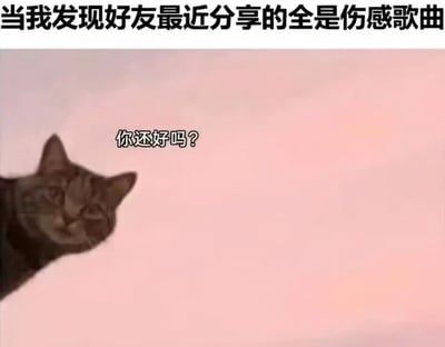 这是一张文字加注的静态图，顶部配有文字“当我发现好友最近分享的全是伤感歌曲”，画面左侧是一只从边缘探出头的猫咪，猫咪神态温柔，带着淡淡的担忧，旁边配有文字“你还好吗？”。这张图生动模拟了日常生活中，当我们察觉到好友分享的内容透露出低落情绪时，内心产生的关心与想要问候的心情，用软萌的猫咪形象来传递这份细腻的关切，很贴合朋友间的社交互动场景，容易引发共鸣。