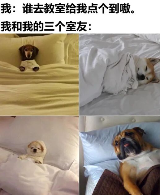 博美犬