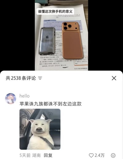图片分为上下两部分。上半部分展示两部手机放在一本打开的书本上，左边是一部透明壳、背部磨损严重的旧苹果手机，右边是一部金色的新苹果手机，顶部配有文字'谁懂这次换手机的意义'。下半部分是社交媒体评论区截图，用户'hello'评论'苹果诛九族都诛不到左边这款'，并附带一张白狗坐在车内系安全带的表情包图片，该评论获2.4万点赞，发布于5天前，地点显示为湖南。整体通过新旧手机的对比和幽默评论，调侃旧手机磨损严重到连苹果官方都认不出的程度，充满搞笑调侃的氛围。