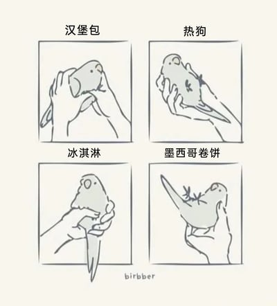 暂无描述