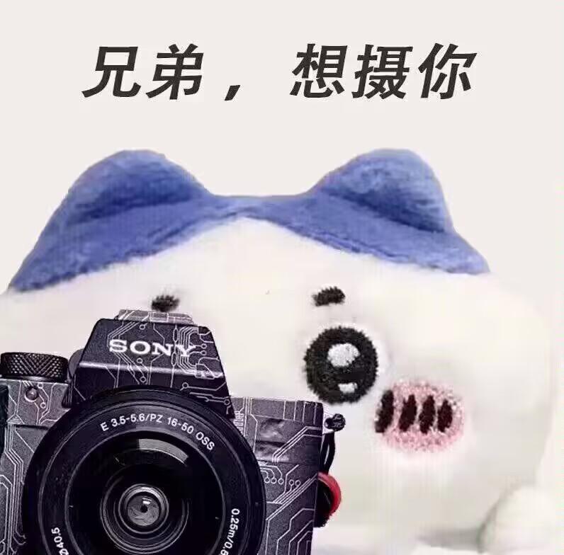 原创毛绒玩具