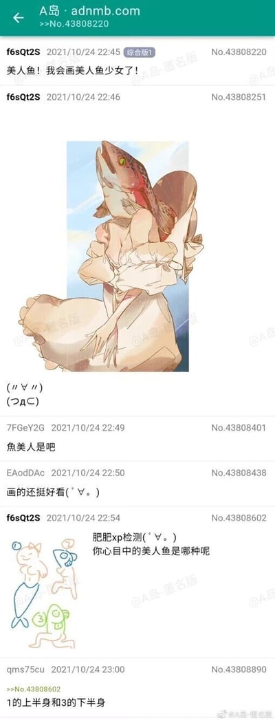 这是A岛（adnmb.com）综合版的论坛帖子截图，用户f6sQt2S首先发帖称“美人鱼！我会画美人鱼少女了！”，并附上一幅将真实鱼头与人类女性身体结合的原创插画，引发其他匿名用户互动。用户7FGeY2G用谐音梗调侃“鱼美人是吧”，将“美人鱼”反向表述为“鱼美人”，契合插画鱼头人身的形象；用户EAodDAc评价插画“画的还挺好看(゜∀゜。)”。随后f6sQt2S发布三幅不同形态的美人鱼简笔画，分别是人形鱼尾、鱼形人鱼身、鱼头蛙身的形象，并配文“肥肥xp检测(゜∀゜。)你心目中的美人鱼是哪种呢”，发起趣味互动。最后用户qms75cu回复“1的上半身和3的下半身”，表达了对混合形态美人鱼的偏好，整个帖子围绕美人鱼的创意形象展开了轻松有趣的玩梗与讨论。