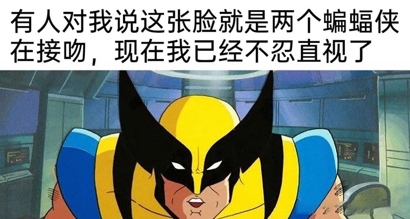 《X战警》系列动画