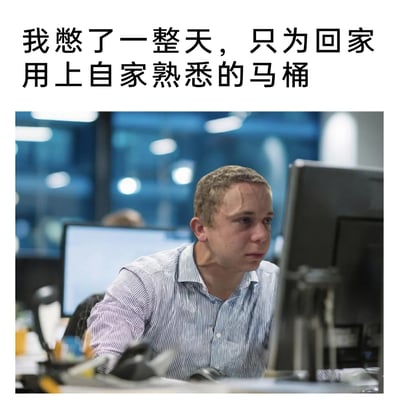 这是一张贴合职场人日常的趣味梗图，上方配有文字“我憋了一整天，只为回家用上自家熟悉的马桶”，下方是办公室场景中，一位穿着条纹衬衫的男性职员坐在电脑前，他眉头紧皱、面部表情隐忍难受，看起来正强撑着工作。文案与画面结合，精准调侃了部分打工人因不习惯公司公共马桶，硬憋到下班回家的真实又好笑的状态，很容易引发职场群体的共鸣。